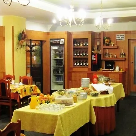 帕浓酒店 3* Hodonín