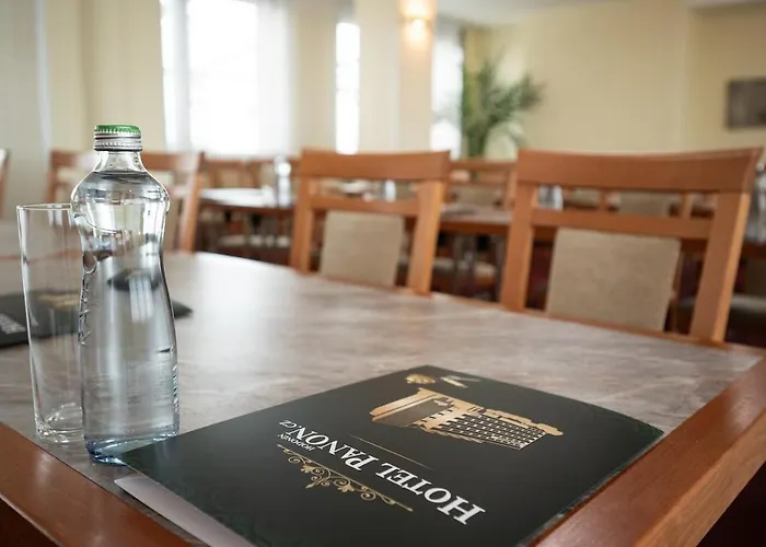 帕浓酒店 Hodonín