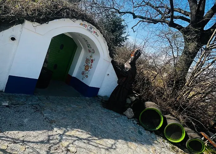 帕浓酒店 Hodonín